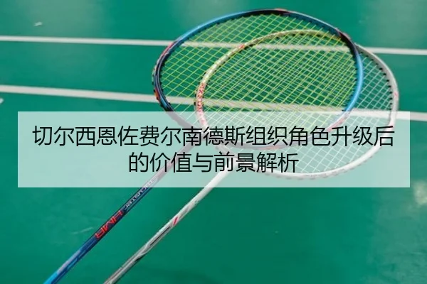 切尔西恩佐费尔南德斯组织角色升级后的价值与前景解析